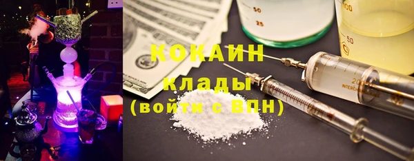 СК Медногорск