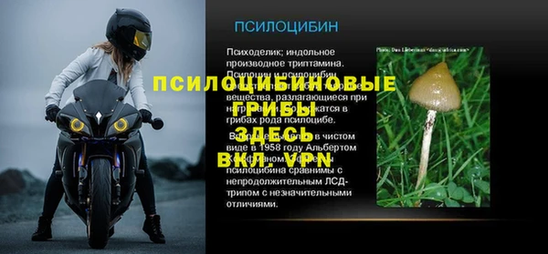 мдма Киреевск